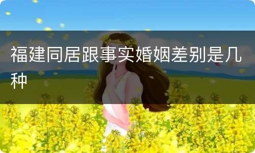福建同居跟事实婚姻差别是几种