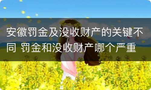 安徽罚金及没收财产的关键不同 罚金和没收财产哪个严重