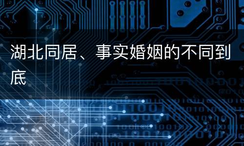 湖北同居、事实婚姻的不同到底