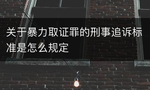 关于暴力取证罪的刑事追诉标准是怎么规定