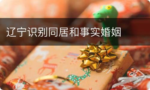 辽宁识别同居和事实婚姻