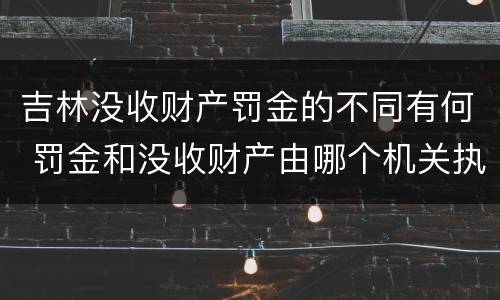 吉林没收财产罚金的不同有何 罚金和没收财产由哪个机关执行