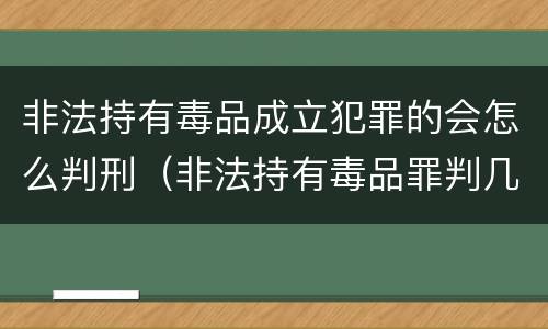 非法持有毒品成立犯罪的会怎么判刑（非法持有毒品罪判几年）