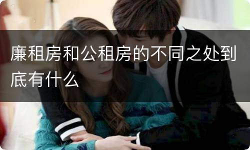廉租房和公租房的不同之处到底有什么