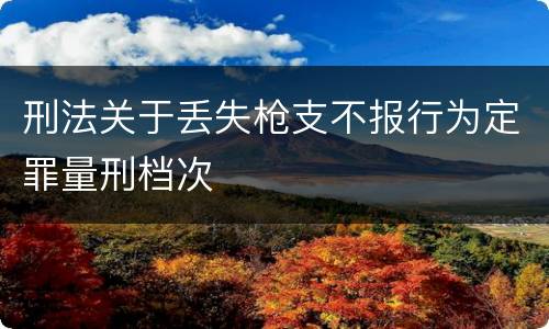 刑法关于丢失枪支不报行为定罪量刑档次