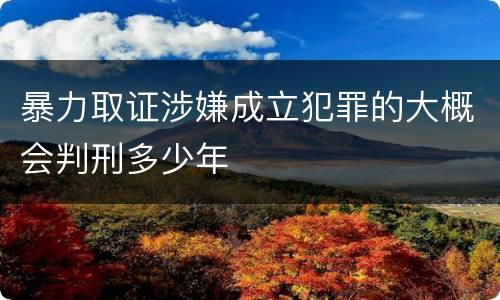 暴力取证涉嫌成立犯罪的大概会判刑多少年
