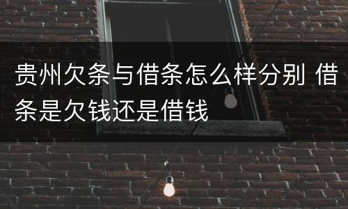 贵州欠条与借条怎么样分别 借条是欠钱还是借钱