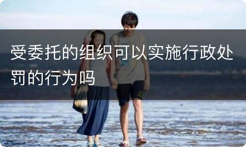受委托的组织可以实施行政处罚的行为吗