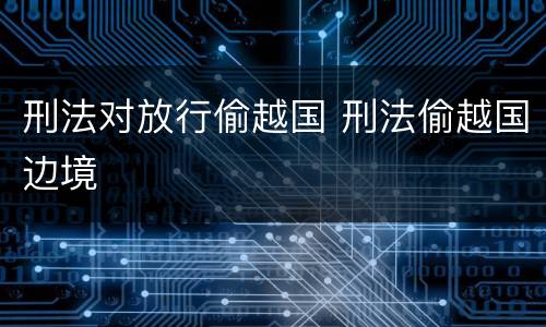 刑法对放行偷越国 刑法偷越国边境