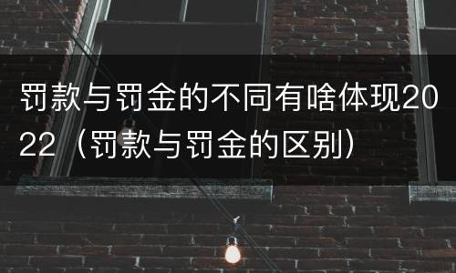 罚款与罚金的不同有啥体现2022（罚款与罚金的区别）