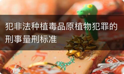 犯非法种植毒品原植物犯罪的刑事量刑标准