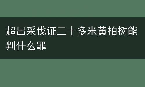 超出采伐证二十多米黄柏树能判什么罪