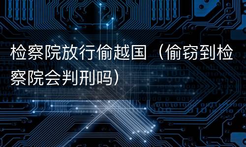 检察院放行偷越国（偷窃到检察院会判刑吗）