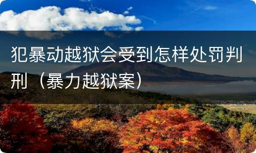 犯暴动越狱会受到怎样处罚判刑（暴力越狱案）