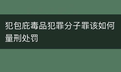 犯包庇毒品犯罪分子罪该如何量刑处罚