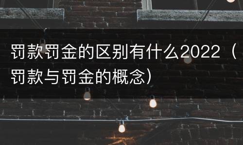 罚款罚金的区别有什么2022（罚款与罚金的概念）
