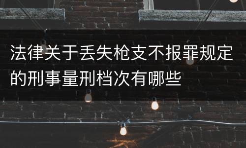 法律关于丢失枪支不报罪规定的刑事量刑档次有哪些