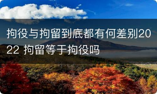 拘役与拘留到底都有何差别2022 拘留等于拘役吗