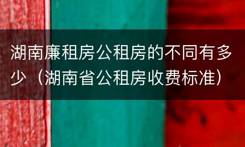 湖南廉租房公租房的不同有多少（湖南省公租房收费标准）