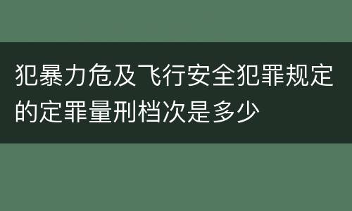 犯暴力危及飞行安全犯罪规定的定罪量刑档次是多少