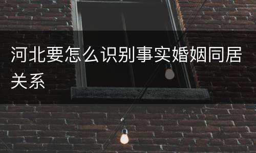 河北要怎么识别事实婚姻同居关系