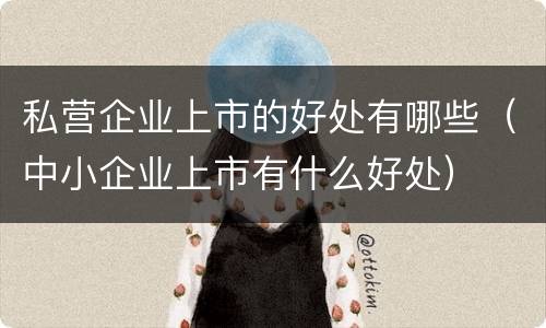 私营企业上市的好处有哪些（中小企业上市有什么好处）