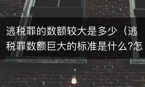 逃税罪的数额较大是多少（逃税罪数额巨大的标准是什么?怎么认定?）