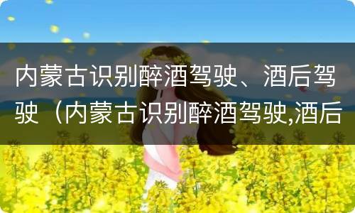 内蒙古识别醉酒驾驶、酒后驾驶（内蒙古识别醉酒驾驶,酒后驾驶处罚）