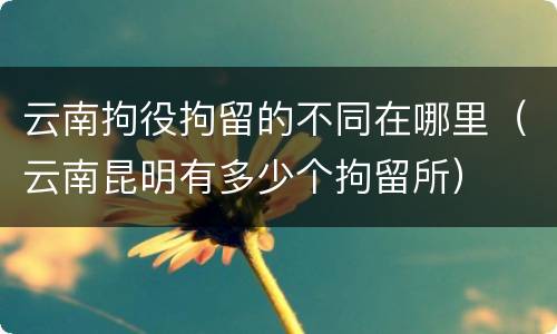 云南拘役拘留的不同在哪里（云南昆明有多少个拘留所）