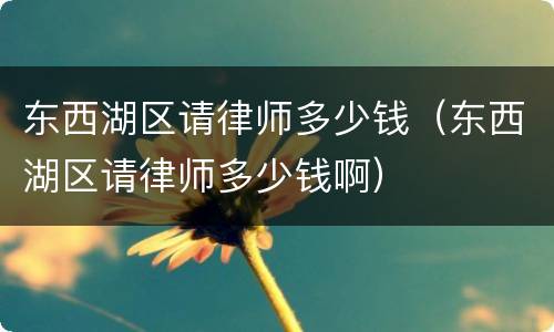 东西湖区请律师多少钱（东西湖区请律师多少钱啊）