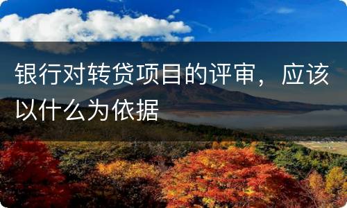 银行对转贷项目的评审，应该以什么为依据
