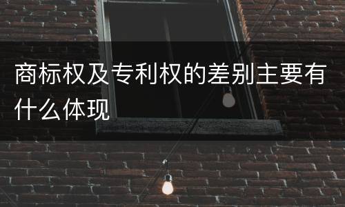 商标权及专利权的差别主要有什么体现