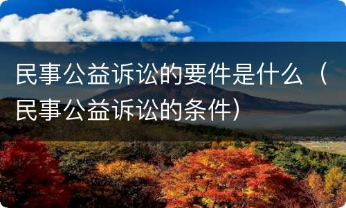 民事公益诉讼的要件是什么（民事公益诉讼的条件）