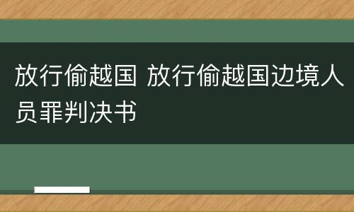 放行偷越国 放行偷越国边境人员罪判决书