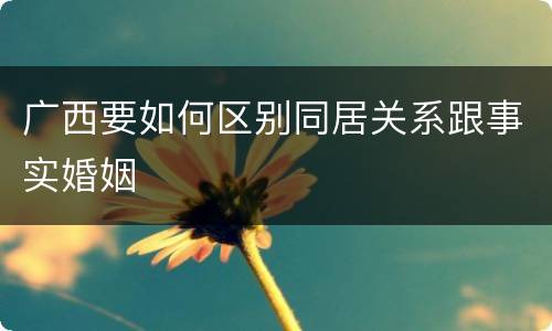 广西要如何区别同居关系跟事实婚姻