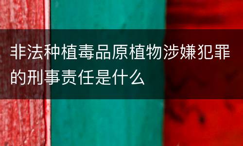非法种植毒品原植物涉嫌犯罪的刑事责任是什么
