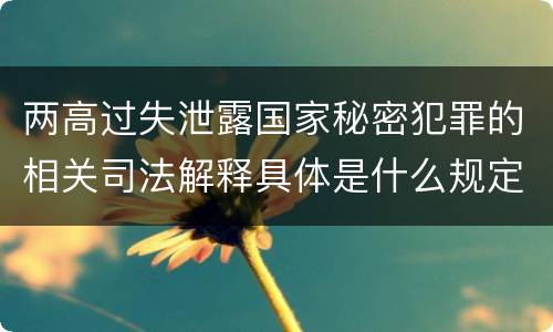 两高过失泄露国家秘密犯罪的相关司法解释具体是什么规定