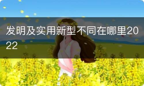 发明及实用新型不同在哪里2022