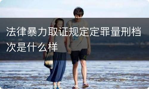 法律暴力取证规定定罪量刑档次是什么样