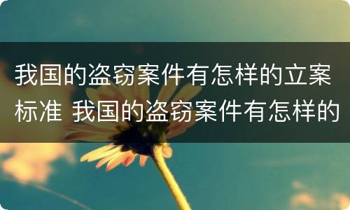 我国的盗窃案件有怎样的立案标准 我国的盗窃案件有怎样的立案标准呢