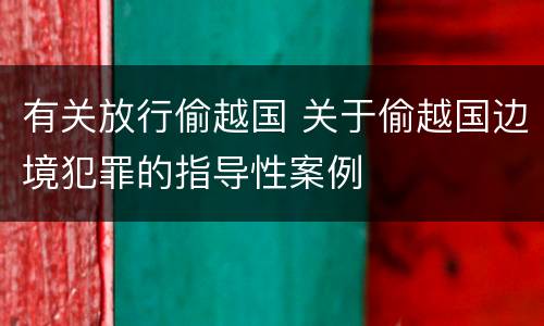 有关放行偷越国 关于偷越国边境犯罪的指导性案例