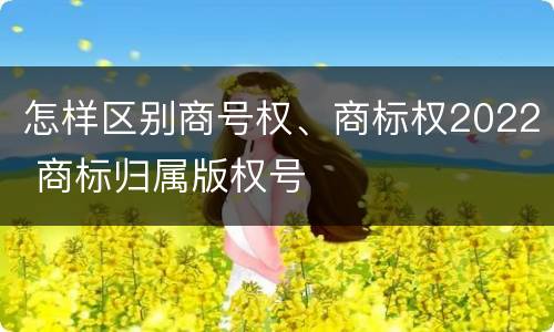 怎样区别商号权、商标权2022 商标归属版权号