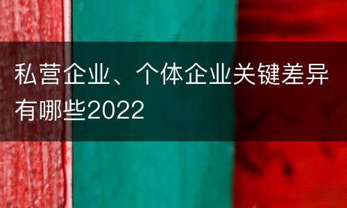 私营企业、个体企业关键差异有哪些2022
