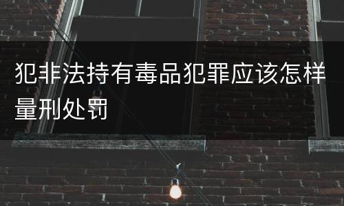 犯非法持有毒品犯罪应该怎样量刑处罚