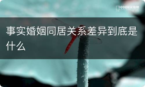 事实婚姻同居关系差异到底是什么