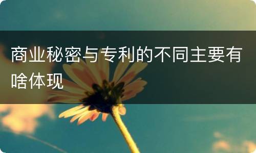 商业秘密与专利的不同主要有啥体现