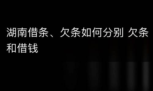 湖南借条、欠条如何分别 欠条和借钱