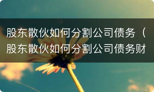 股东散伙如何分割公司债务（股东散伙如何分割公司债务财产）