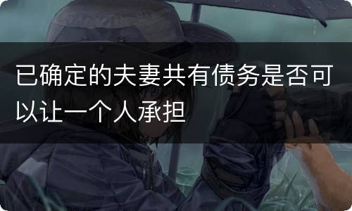 已确定的夫妻共有债务是否可以让一个人承担