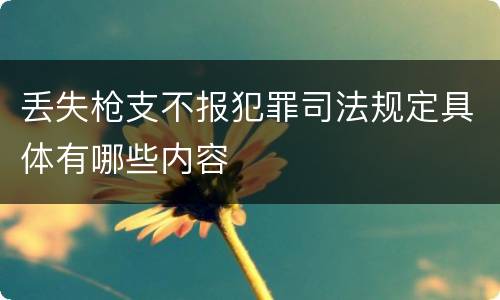 丢失枪支不报犯罪司法规定具体有哪些内容